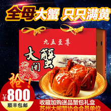 【活蟹】阳澄清歆大闸蟹 鲜活特大螃蟹现货 活蟹公蟹可全母蟹活体 海鲜水产生鲜礼盒 精品全母蟹套餐4.5-4.8两   十只礼盒装