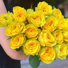 花集配 黄色玫瑰 月光漫步8枝+2枝防损  花材批发 花卉 办公室家庭花瓶水养鲜切花