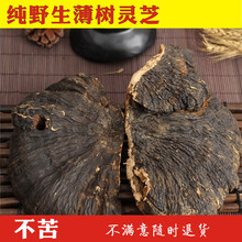 薄树灵芝 薄盖灵芝灵芝 树舌灵芝 500克