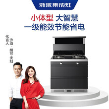 浙派（ZHEPΛi） 75Z6 小户型750家用侧吸式烟机燃气灶消毒柜一体式集成灶 液化气