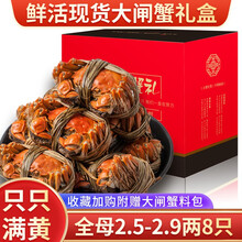 【活蟹】【全母蟹】阳澄西湖大闸蟹鲜活螃蟹现货海鲜水产生鲜蟹类礼盒 全母蟹:2.5-2.9两（8只）