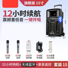 先科A60广场舞音响户外拉杆12吋便携式移动大功率播放器带无线话筒室外K歌家用蓝牙重低音炮手提演出音 15寸旗舰版【2支U段话筒+32G优盘】