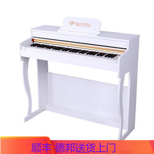 唯美（RENOPIA） 61键电钢琴初学者烤漆儿童早教 带推拉盖白