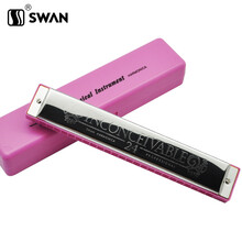 天鹅口琴24孔儿童初学者成人高级专业复音c调入门自学口琴男女乐器 天鹅24孔复音C调+粉色琴格