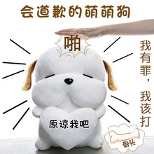 520情人节生日道歉礼物送女友朋友老婆哄女友神器实用异地恋 彩袋-呆萌狗35cm蜡笔小新声音(原谅我吧).拍打