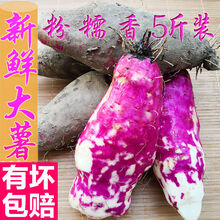 脚板薯紫山药毛薯淮山农家现挖粉软糯大薯新鲜蔬菜土特产一份 【3斤装】超值