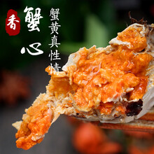特大正宗大闸蟹新鲜活螃蟹现货公母蟹随机螃蟹 大闸蟹8+8（2.0-1.5两）超值装
