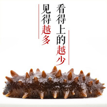 锦食湾 海参干货大连深海底播淡干非即食健康辽刺参礼盒500g特价 7A即食海参500g（16-20支）