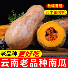 老南瓜云南热带南瓜新鲜批发黄南瓜板栗味 5斤