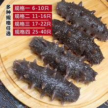 即食海参刺参单只装大连辽参礼盒年货 2斤礼品装 17-22只/斤