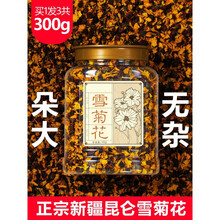 新疆天山昆仑雪菊花茶野生昆仑山雪菊茶 (3瓶装共300g)正宗新疆昆仑雪菊花茶