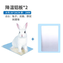 仓鼠夏天降温用品消暑冰屋兔子龙猫宠物降温冰垫冰板散热板凉席夏 降温板（大号）x2个装