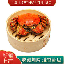 【活蟹】蟹家长大闸蟹 六月黄大闸蟹鲜活特大螃蟹公母蟹生鲜水产新鲜河蟹 1.0-1.5两14加4只抵损