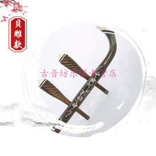 香玉檀二胡乐器胡琴初学考级专业演奏儿童通用琴厂直销 贝雕款【豪华礼包】