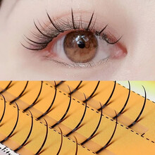 若萱稻草人0.07鱼尾假睫毛自己嫁接自然燕尾浓密款朵毛单盒套装 单根仙子毛＋胶水镊子