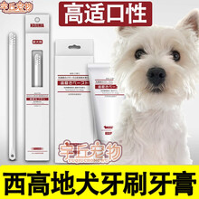 西高地犬专用幼犬狗狗可食用牙刷牙膏套装软毛去牙垢牙结石除口臭气用的口腔 单只牙刷
