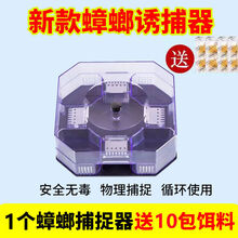 蟑螂小黑盒蟑螂诱捕器蟑螂药家用蟑螂屋物理驱抓灭除蟑螂捕捉神器全窝端 1个捕捉器(送10包诱饵) 升级款(双层)
