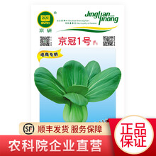 北京农科院京研甜瓜辣椒黄瓜羊角蜜豇豆角籽娃娃菜快菜白菜油菜菠菜籽生菜西瓜南瓜红根韭菜蔬菜种子四季种植 小油菜京冠1号5克