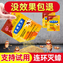 灭蟑螂药家用室内杀蟑螂饭店 10包装
