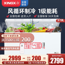 星星（XINGX） 518L商用冰柜大容量718升单温冷柜冷藏保鲜柜超市卧式冷冻柜冰箱 多尺寸可选 519升（加风机款） BD/BC-519E