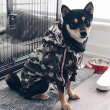 狗狗衣服潮牌防风防雨小中大型犬雨衣款宠物冲锋衣 鲨鱼冲锋衣 3-6斤S码(胸围25-34背长26cm)