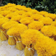 麦穗干花 天然麦穗干花花束开业大麦干花田园装饰摆件拍摄道具干花真花 金黄色100支【50至60cm】