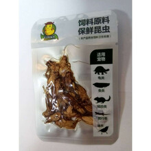 天弗宠具豹纹守宫蜥蜴宠物密封保鲜固体饲料大麦虫面包虫蟋蟀杜比亚仓鼠粮 蟋蟀 10-15只