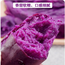 新鲜紫薯沙地紫色地瓜5斤山芋当季番薯新鲜蔬菜 5斤