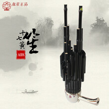 森雀17十七簧扩音笙乌木笙脚牛津布提包吹奏乐器 工艺笙无扩音管