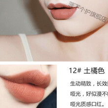 李佳奇的口红夏季颜色显白奶茶色口红裸色系哑光自然适合夏天涂素颜浅色淡色 土橘色 12#