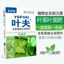 叶菜专用进口叶面肥叶肥之王氨基酸螯合菌肥合一 瓶装350克