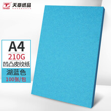 天章(TANGO)A4凹凸皮纹纸/压纹纸/封面纸/云彩纸/封皮纸 彩色卡纸标书封面 硬厚手工卡纸湖蓝色210克100张/包