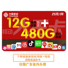 中国移动 移动19元大王卡低月租流量卡不限速手机卡  大流量上网卡套餐卡移动卡电话卡学生卡校园卡广东 大王卡25月租首年12G通用流流量480G定向流量