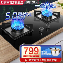 万家乐燃气双灶家用 5.0kw猛火力双灶具 管道煤气灶台式嵌入式两用煤气炉头 【钢化玻璃面】KJ032B天然气5.0KW大火力