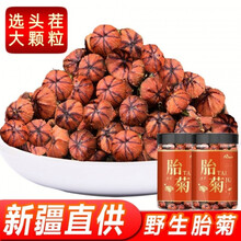 新疆直供昆仑山雪菊胎菊 雪菊花茶新疆昆仑血菊 昆仑雪胎菊250克(袋)送枸杞