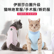 密心 猫咪手术服母猫绝育服术后恢复防舔舐衣服皮肤术后手术恢复服 浅蓝色 M