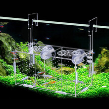 迪普尔 鱼缸隔离盒鱼苗孔雀鱼繁殖盒分离盒箱斗鱼小鱼苗亚克力吸盘产房青鳉防吃挂缸隔离孵化盒 双格20*15*10（吸盘挂钩式） *