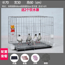 加粗鸽子笼子鸽子用品用具鸽子笼大号鸡笼家用鸽子养殖笼子 粗70*50*60粪盘食具脚垫