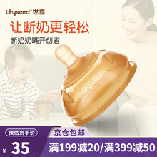 世喜奶嘴 宝宝防母乳实感奶嘴 断奶神器婴儿硅胶奶瓶奶嘴配件带转换器 TN24（10个月以上）