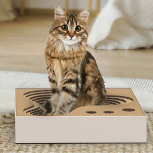 LAIKA 猫抓板窝 猫咪玩具 瓦楞纸猫窝磨爪器 猫爪盆磨爪板猫抓窝 养猫必备宠物猫咪用品