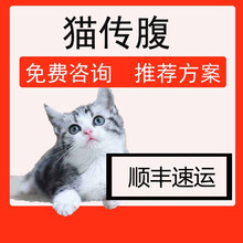 FIPV 医疗护理- 京东