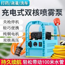 手提式打药机喷雾器电动农用家用充电打药洗车抽水机水泵手提泵消毒喷雾壶 双核泵+30米高压泵 16A锂电