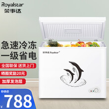荣事达（Royalstar）小冰柜家用小型迷你实用冷柜冷藏保鲜冷冻母乳卧式单门小冰箱 一级省电低噪 【160升节能冰柜 家商两用 囤货大容量】