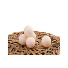 甲鱼活体团鱼生鲜水产龟王八散养 甲鱼蛋 120枚装