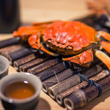 【活蟹】全母大闸蟹鲜活螃蟹活物特大现捕六月黄海鲜水产蟹类 安德兰 全母蟹2.9-3.4两10只