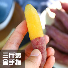 临安天目山小香薯地瓜红薯新鲜番薯金手指黄心代餐宝宝辅食 3斤装金手指【宝宝辅食】