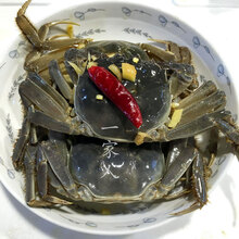 顺丰个个有膏醉毛蟹大醉蟹12只酱毛蟹大闸蟹酱螃蟹0.8-1两/只