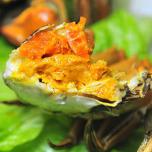 【活蟹】大闸蟹鲜活六月黄螃蟹公母蟹礼盒装海鲜水产蟹类 惟纳德 全母(1.8-2.2两)8只