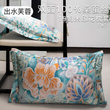 美宝萱家纺100桑蚕丝枕套四季可用双面真丝枕套加厚丝绸枕头 出水芙蓉(1只)