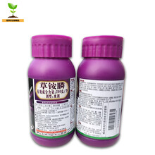 紫电青霜 草铵膦200克/升杂草除草剂 10kg